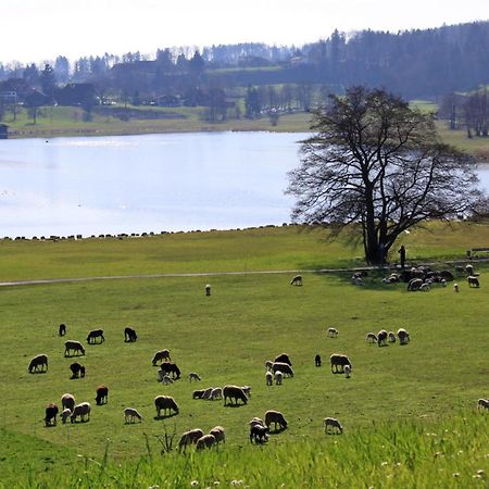 Im Roeseligarten Wolfhausen Dış mekan fotoğraf