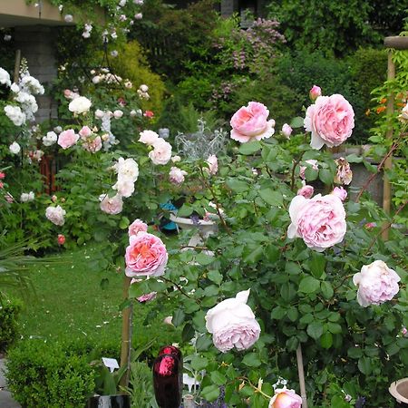 Im Roeseligarten Wolfhausen Dış mekan fotoğraf