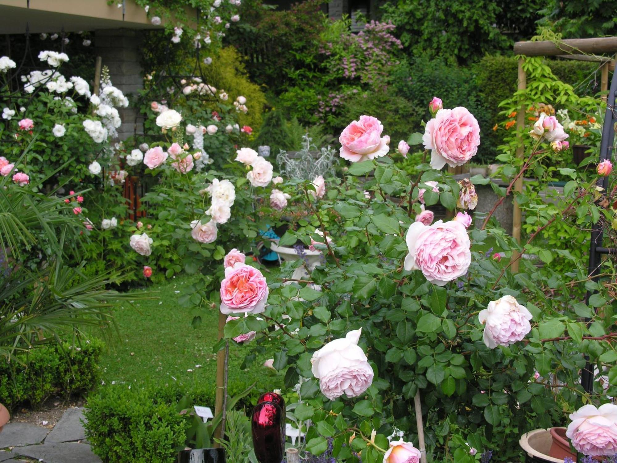 Im Roeseligarten Wolfhausen Dış mekan fotoğraf